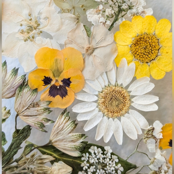 *sold* Real pressed flower artwork, 5x7 floating frame with pressed flowers - Picture 4 of 4